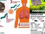 Hantavirus di China Ditengah Pandemi Virus Corona, Belum Ada Obatnya?