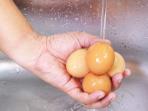 Hentikan Mencuci Telur Sebelum Dimasak, Bisa Berdampak Pada Kesehatan