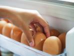 Kebiasaan Menyimpan Telur di Kulkas Ternyata Membahayakan Kesehatan, Bisa Jadi Terkontaminasi Bakteri