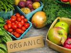 Mengonsumsi Makanan Organik Lebih Sehat? Simak Penjelasannya Yuk