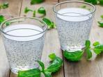 Meski Rasanya Hambar, Kenali Manfaat Minum Ramuan Biji Selasih Bagi Kesehatan
