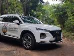 Mobil SUV Keren Bertenaga, Cek Harga Hyundai Terbaru Maret 2020