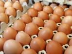 Selain Telur, Ini 7 Makanan yang Punya Kandungan Protein Tinggi