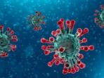 Virus Corona Dikabarkan Bertahan 3 Jam di Udara, Ini Kata Pakar Tentang Media Penyebarannya
