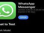 WhatsApp For iPhone Akhirnya Dukung Dark Mode, Simak Selengkapnya