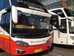 Berencana Mudik? Ini 3 Cara Mudah Beli Tiket Bus Tanpa Perlu Antri di Terminal