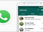 Cegah Hoax Pandemi Corona, Mulai Hari Ini Whatsapp Membatasi Penerusan (forward) Pesan Secara Berantai