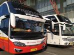 Dampak Virus Corona, Harga Tiket Bus AKAP Naik Hingga 100 Persen, Berikut Detailnya