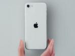 iPhone SE 2 Resmi Meluncur dengan Spesifikasi Lebih Bagus dari iPhone 8, Harga Mulai 6,3 Juta