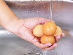 Mencuci Telur Sebelum Dimasak Ternyata Berbahaya Bagi Tubuh, Ini Kata Ahli