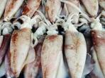 Sering Dibuang, Ini 3 Manfaat Tinta Hitam Pada Cumi Bagi Tubuh Manusia