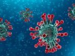 Simak Penjelasan Mengenai Bagaimana Virus Corona Menyerang Tubuh Manusia?