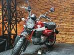 Warna Baru Honda Monkey 125, Sekarang Ada 4 Pilihan, Harganya?