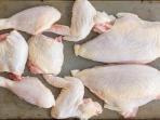 Awas, Menyimpan Daging Ayam Tak Boleh Sembarangan, Jika Keliru Bisa Akibatkan Keracunan
