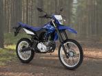 Cek Update Harga Motor Trail Mei 2020, Kawasaki KLX 150 Paling Murah