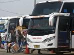 Daftar Layanan Kota Tujuan Rute Bus AKAP di Tengah Larangan Mudik