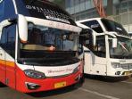 Harga Tiket Naik, Cek Tarif Baru Bus AKAP Pasca Beroperasi Kembali