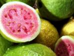 Ini Kandungan dan Manfaat yang Bisa Diperoleh Saat Rutin Mengonsumsi Jambu Biji