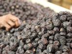 Jadi Buah Favorit Nabi Muhammad, Ini Cara Bedakan Kurma Ajwa Asli atau Palsu