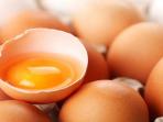 Sering Dibuang, Ternyata Kulit Telur Bisa Diolah dan Punya 3 Manfaat untuk Tubuh!