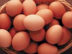 5 Makanan dan Minuman Ini Baik untuk Dikonsumsi Setelah Olahraga, Salah Satunya Telur
