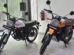 Ada Diskon Motor Kawasaki W175 TR dan Cafe Nih, Bonus Aksesori Buat Touring Juga