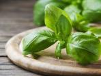 Ketahui Girls, Ini 5 Manfaat Daun Kemangi Buat Kesehatan dan Kecantikan Kulit Wajah