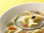Mengonsumsi Makanan yang Sudah Dihinggapi Lalat, Bolehkah?