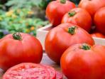 Sebaiknya Jangan Menyimpan Tomat di Kulkas Lagi, Ini Alasannya 