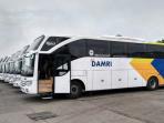 Sudah Beroperasi Kembali, Catat Jadwal Operasional Bus Damri