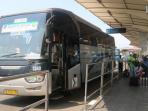 Tarif Naik 100 Persen, Cek Daftar Harga Tiket Bus Damri Bandara Soekarno-Hatta Berbagai Rute