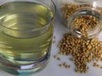5 Khasiat Menakjubkan Minum Air Rendaman Biji Ketumbar bagi Kesehatan Anda