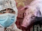 Info Tentang Virus G4, Flu Babi Jenis Baru dari China yang Berpotensi Jadi Pandemi