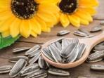 Intip Manfaat Tak Terduga yang Akan Terjadi Pada Tubuh Kalau Sering Makan Kuaci