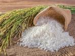 Tidak Hanya Warna Putih, Ketahui Jenis Beras yang Lain dan Nilai Gizinya