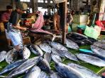 Bahaya, Berikut Jenis Ikan yang Tak Boleh Dikonsumsi Secara Rutin