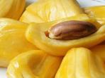 Biasa Dibuang Begitu Saja, Ternyata Biji Nangka Memiliki Manfaat untuk Kesehatan Loh
