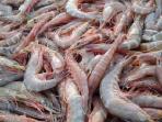 Jangan Terlena Meski Murah, Hindari Membeli Udang dengan 3 Ciri Ini