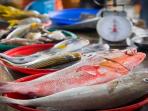 Kaya Manfaat, 3 Ikan Ini Harus Rutin Dikonsumsi