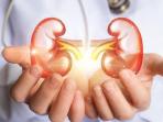 Kenali dan Segera Hindari Makanan Penyebab Gagal Ginjal