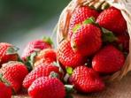 Ketahui Yuk, Ini Segudang Manfaat Buah Stroberi untuk Kesehatan Tubuh