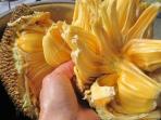 Memperlambat Penuaan hingga Cegah Kanker, Ini Segudang Manfaat Buah Nangka untuk Kesehatan Tubuh
