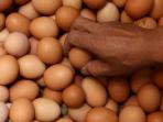 Meski Dijual Murah, Jangan Nekat Beli dan Konsumsi Telur Ayam dengan Ciri-ciri Ini