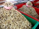 Meski Murah, Jangan Remehkan Orang yang Makan Ikan Teri Tiap Hari, Ini Manfaatnya Bagi Kesehatan