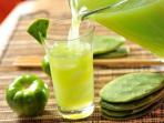 10 Manfaat Kesehatan Minum Jus Kaktus Tiap Hari yang Tak Banyak Orang Tahu