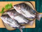 Bahaya Konsumsi Ikan Mujair yang Tak Banyak Orang Tahu