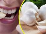 Cobalah Rutin Makan 1 Siung Bawang Putih Tiap Malam, Dapatkan 5 Manfaat Kesehatan Ini