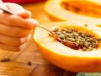 Jarang Diketahui, Ternyata Biji Buah Pepaya Bisa Dimakan, Ini Manfaatnya 