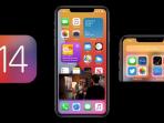 Mudah, Ini Cara Update iOs 14 di iPhone 14 dan iPadOS 14 Untuk Pengguna Pemula