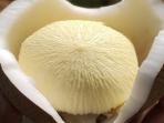 Tak Banyak yang Tahu, Ternyata Kentos Kelapa Miliki Banyak Manfaat Bagi Kesehatan